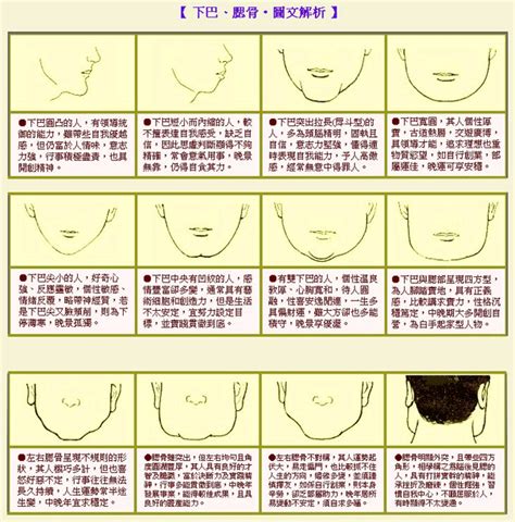 下巴長 面相|【下巴長面相】下巴長的面相大公開：財運亨通、貴人扶植，福氣。